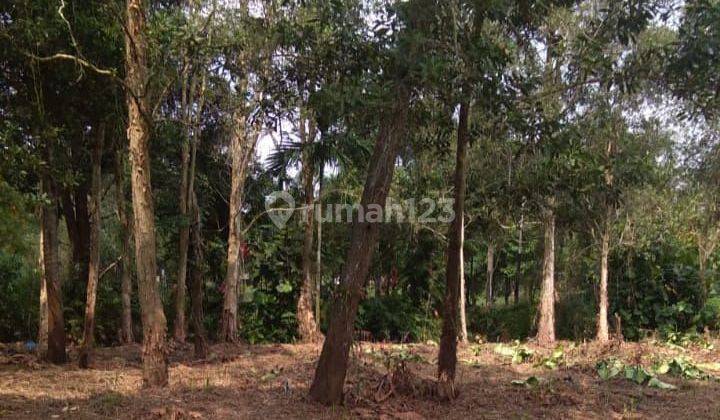 DIJUAL TANAH MURAH JALAN PESONA SEMATANG BORANG PALEMBANG 1