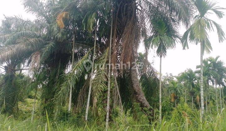 Dijual Cepat Tanah Siap Bangun Talang Jambe Palembang 2