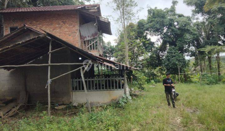 DIJUAL TANAH KEBUN JALAN PADAT KARYA TALANG BULUH BANYUASIN 2