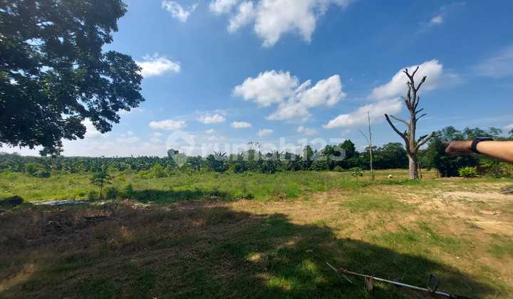 DIJUAL TANAH 6 HEKTAR JALAN SUKAMORO KM 18 BANYUASIN