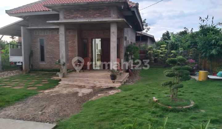 DIJUAL TANAH LUAS + RUMAH TANAH MAS SUKAMORO BANYUASIN 2