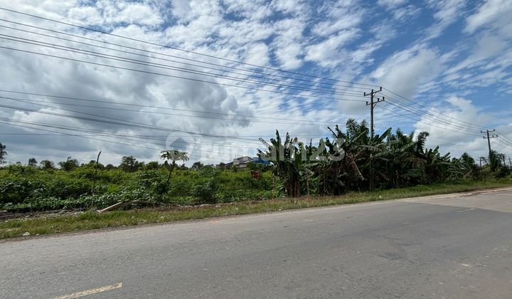 DIJUAL TANAH 12 HEKTAR TANJUNG API API PALEMBANG 1