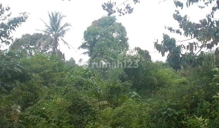 DIJUAL TANAH SIAP BANGUN DEKAT SMAN 7 SEI SELINCAH PALEMBANG 1