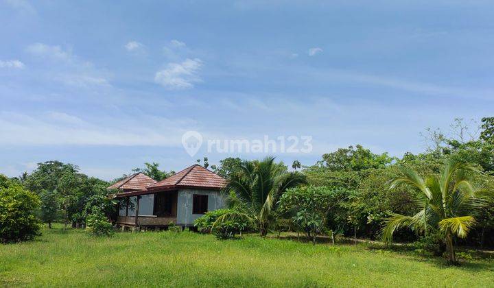 Resort Villa Eksklusif Pantai Pasir Putih Tanjung Lesung Pandeglang Banten 2