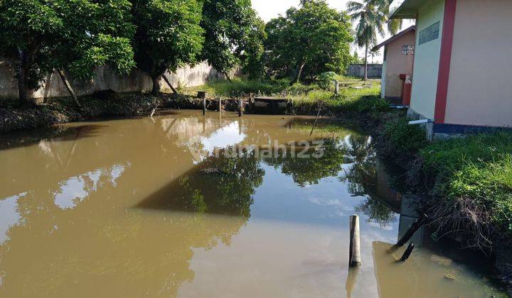 DIJUAL TANAH + 8 KOLAM IKAN PLUS RUMAH JALAN TAQWA MATA MERAH PALEMBANG 1