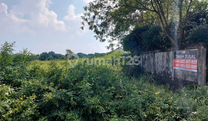 DIJUAL TANAH DEKAT SIMPANG BANDARA PALEMBANG DIJUAL TANAH DEKAT SIMPANG BANDARA PALEMBANG