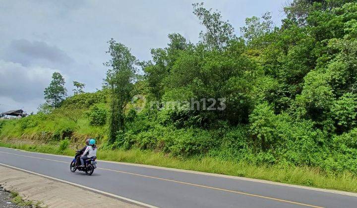 Dijual Tanah Kebun Karet Desa Kancing Bengkulu Tengah 2