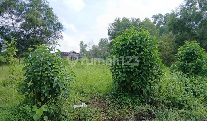 DIJUAL TANAH JALAN PAGAR DEWA KARYA BARU ALANG ALANG LEBAR PALEMBANG