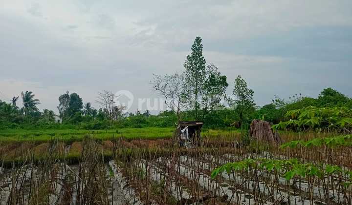 For Sale, Solid Land Ready to Build on Jalan Pangeran Ayin, Sako Kenten, Palembang