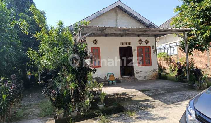DIJUAL RUMAH JALAN MACAN LINDUNGAN PALEMBANG 1