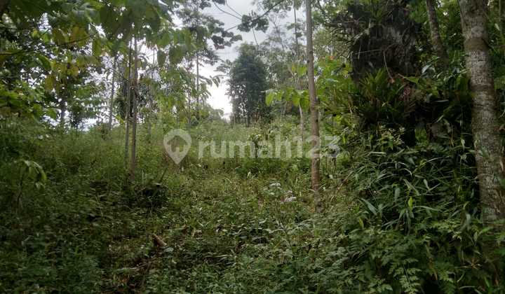 FOR SALE JABON AND KAPULAGA GARDEN LAND BESIDE CICADAS – CIJALENGKA – BOJONG SALAM ROAD, WEST BANDUNG
