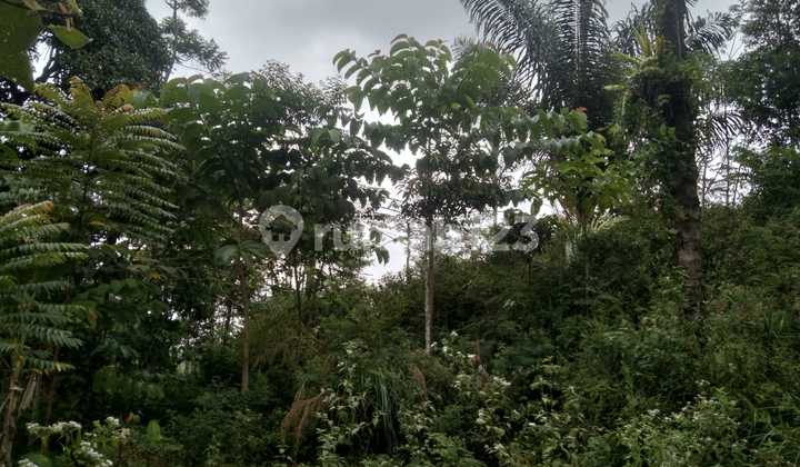 FOR SALE JABON AND KAPULAGA GARDEN LAND BESIDE CICADAS – CIJALENGKA – BOJONG SALAM ROAD, WEST BANDUNG