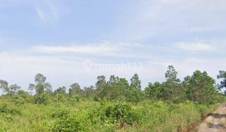 DIJUAL TANAH PLUS KEBUN SAWIT KAWASAN MARIANA BANYUASIN 1
