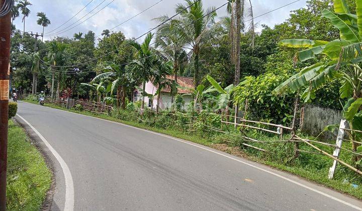 DIJUAL TANAH 5000 m2 PINGGIR JALAN BETAWI KENTEN PALEMBANG 2