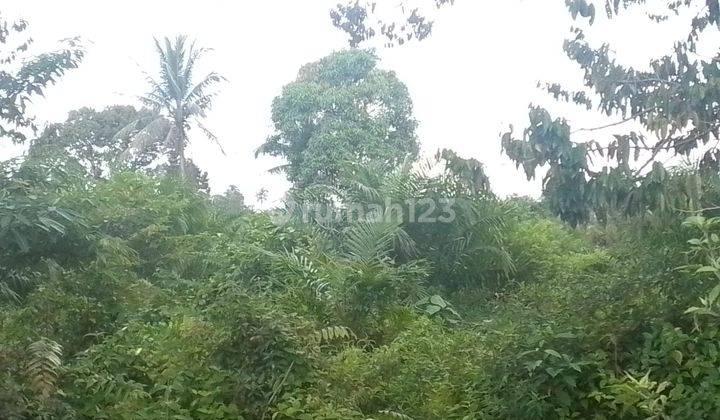 DIJUAL TANAH SIAP BANGUN DEKAT SMAN 7 SEI SELINCAH PALEMBANG 2
