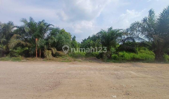 Dijual Lahan 6,8 Hektar Gasing Tanjung Api Api Banyuasin 2