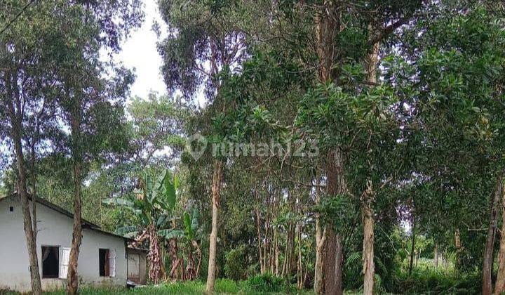 DIJUAL TANAH MURAH JALAN PESONA SEMATANG BORANG PALEMBANG 2