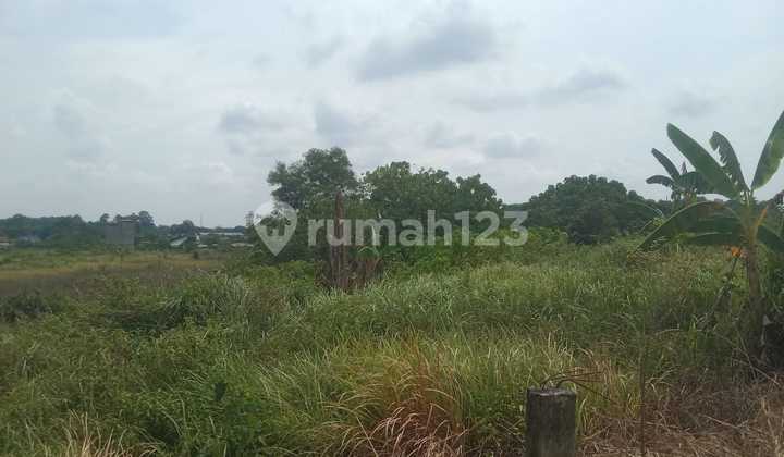 DIJUAL TANAH JALAN PMD TALANG KELAPA PALEMBANG DIJUAL TANAH JALAN PMD TALANG KELAPA PALEMBANG