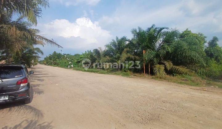 Dijual Lahan 6,8 Hektar Gasing Tanjung Api Api Banyuasin 1