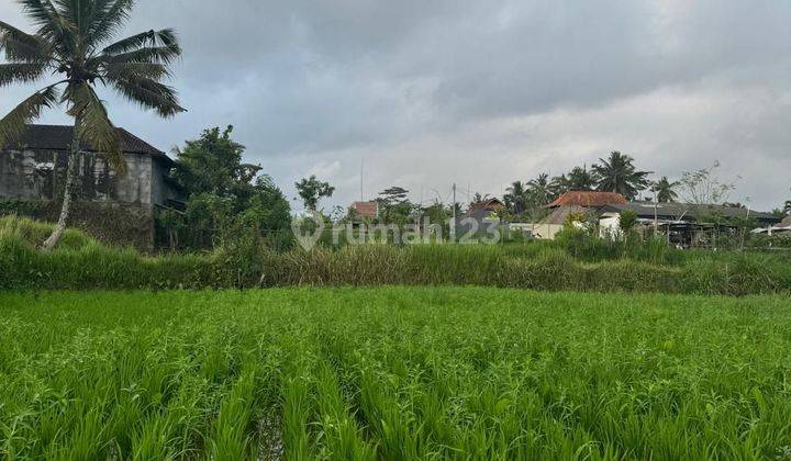 Dijual Lahan Dekat Ubud Center Lingkungan Villa Dekat Jalan Utama 2