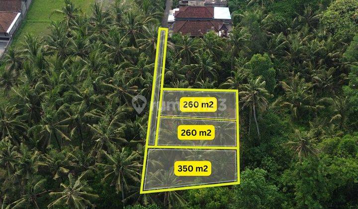 Dijual Tanah Di Mas Ubud 15 Menit Ke Ubud Central View Kebun 2