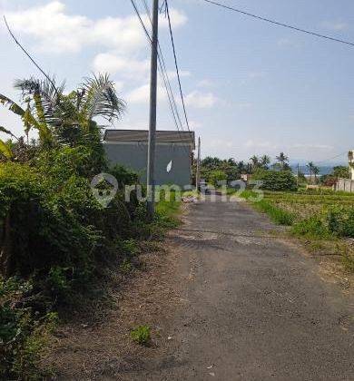 Dijual Tanah Istimewa Lokasi Ubud View Sawah Dan Pantai 1