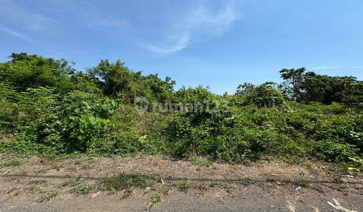 Dijual Tanah Radius Pantai Saba Ubud Lingkungan Asri Dan Tenang 1