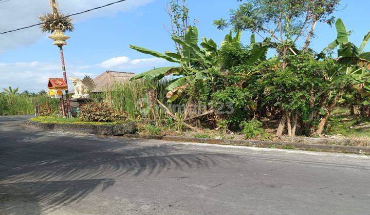 Dijual Tanah View Sawah Dikawasan Ubud Dekat Hotel Bintang Lima 2