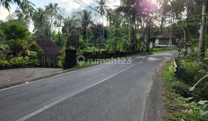 Dijual Tanah Super Langka Di Jl Raya Utama Resort Ubud 2