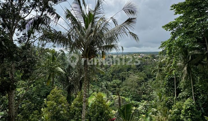 Land for Sale in North Ubud, Need Quick Money, Beautiful View.