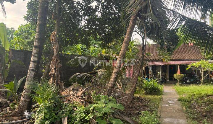 Dijual Tanah Area Istimewa Ubud Kontur Datar Shm  1