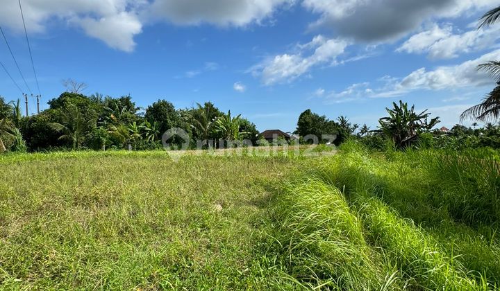 Dijual Buc Lokasi Gianyar Temesi View Sawah Lahan Siap Bangun