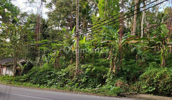 Dijual Tanah Super Langka Di Jl Raya Utama Resort Ubud 2