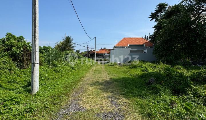 For Sale: Cheap Land Near Duck Pond Rice Field Ubud View Natural Valley