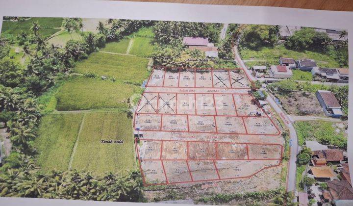 Dijual Tanah Kavling Murah Di Ubud View Pedesaan 1