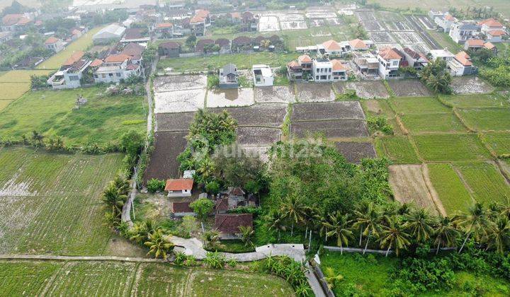 Dijual Lahan Kawasan Premium Di Ubud View Sawah Akses Jalan Mobil 2