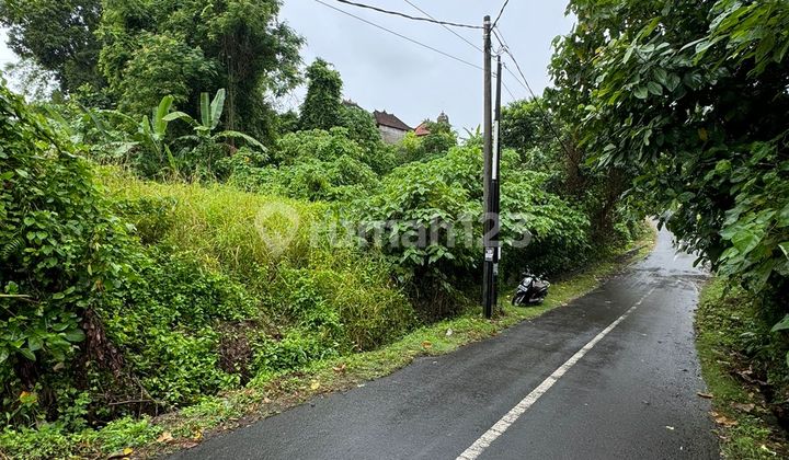 Di Jual Lahan Luas 743 M2 Di Banjar Gelogor ,lodtunduh,ubud Di Jual Lahan Luas 743 M2 Di Banjar Gelogor ,lodtunduh,ubud
