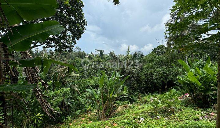 Di Jual Tanah Di Lap Lapan Ubud Los Sungai Petanu Dan Lembah 2