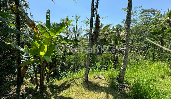 Riverfront Land For Sale in Keliki Ubud, Suitable for Villa Riverfront Land For Sale in Keliki Ubud, Suitable for Villa