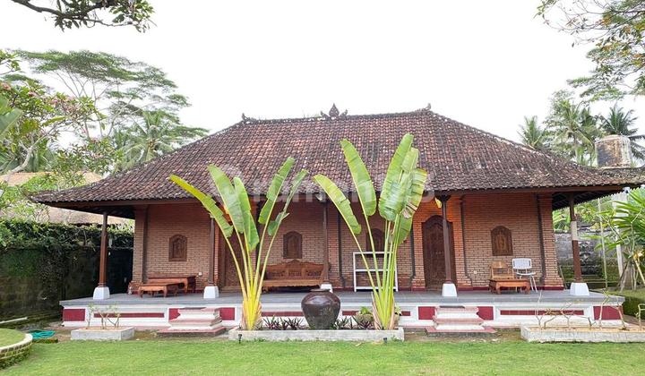 For Sale Spacious House in Pejeng, Ubud Gianyar - Bali Strategic Location 2