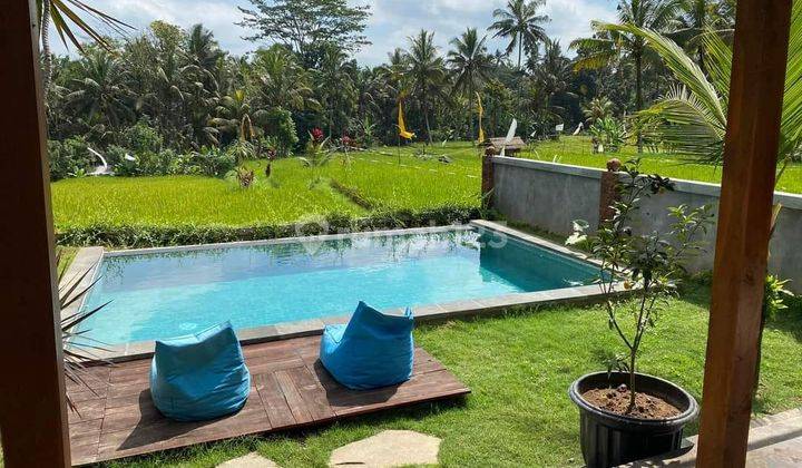 Villa view dengan view sawah abadi dan gunung agung 2