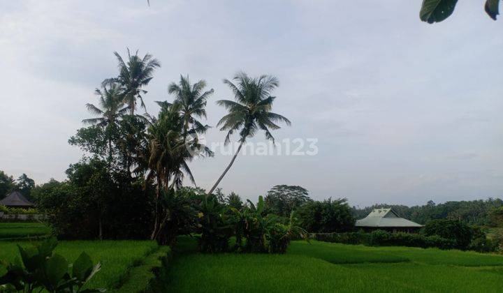 Jual villa dengan view sawah lokasi 15 menit dari Ubud  2