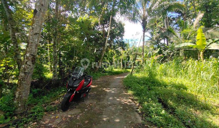 Tanah view lembah dan sungai dekat ubud dan harga dibawah pasaran dengan akses jalan aspal sangat cocok untuk villa dan hunian asri dan udara sejuk  2