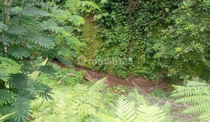 Tanah view lembah dan sungai dekat ubud dan harga dibawah pasaran dengan akses jalan aspal sangat cocok untuk villa dan hunian asri dan udara sejuk  1
