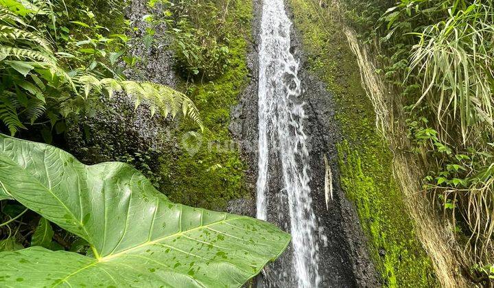 Jual Tanah dekat resort hanging garden dan awan biru 1