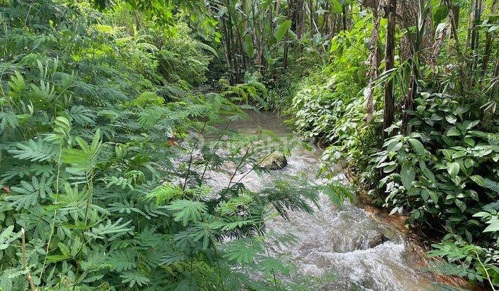 Jual Tanah dekat resort hanging garden dan awan biru 3