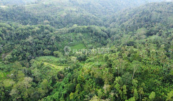 Jual Tanah dekat resort hanging garden dan awan biru 9