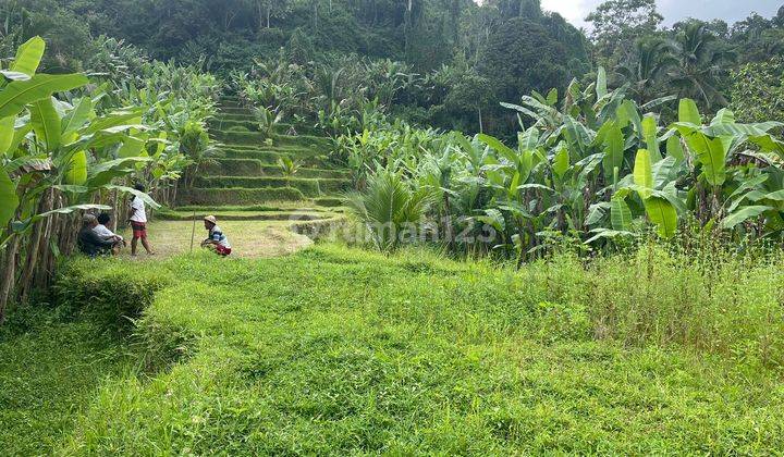 Jual Tanah dekat resort hanging garden dan awan biru 10