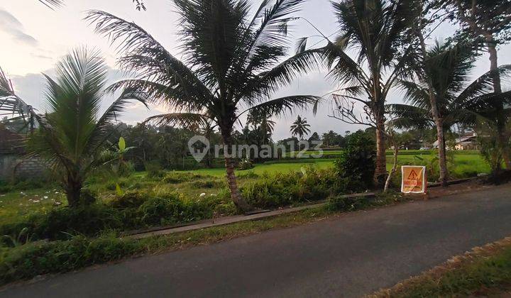 Di Jual Tanah di Pedesaan Ubud View Sawah Dan Gunung Agung 2