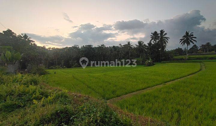 Di Jual Tanah di Pedesaan Ubud View Sawah Dan Gunung Agung 1